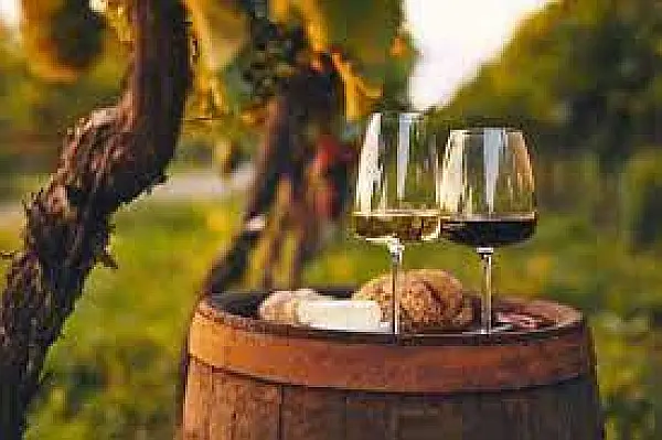 Wine Tasting